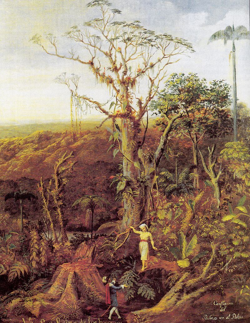 Cumand la Reina de los bosques de Rafael Salas representacin de la novela de Juan Len Mera