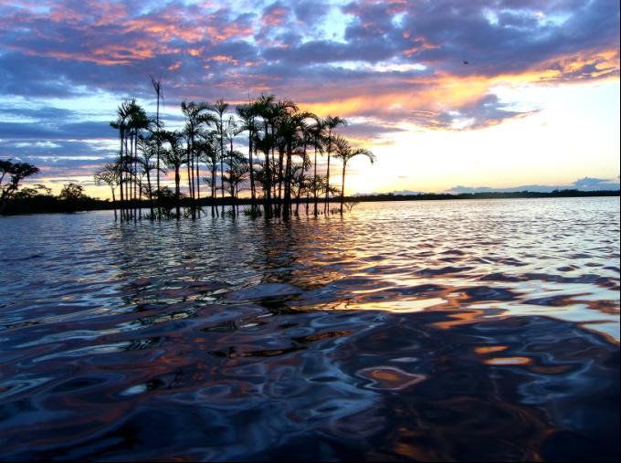 Laguna Grande located in the heart of the Cuyabeno Wildlife Reserve